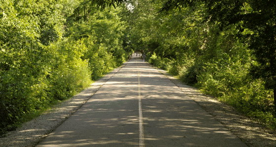 The Monon Trail, a paved bike trail with trees on either side.