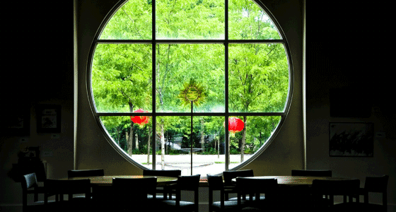 The Indianapolis Art Center Library from the inside looking out the round window into the gardens