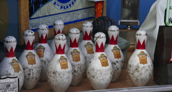 A display in a window with duck pins and trophies.